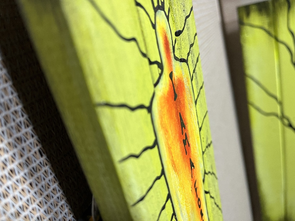 I Am A Force Of Nature By Artist Rafi Perez Original Art On Reclaimed Wood 11X4 - Image 5