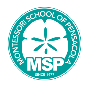 Logo of Montessori School of Pensacola featuring the acronym MSP and a stylized flower design.