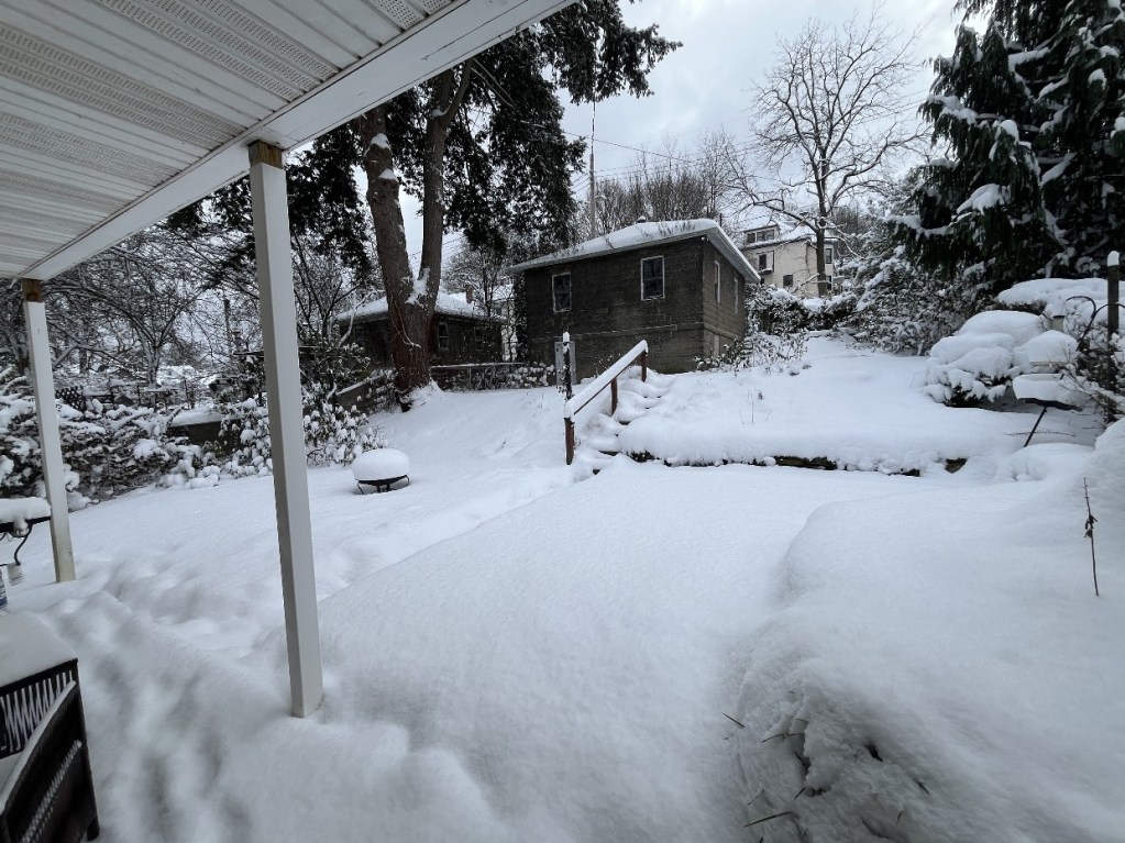 A snowy backyard scene depicting a layer of snow covering the ground, trees, and a house in the background. The porch structure is visible in the foreground.