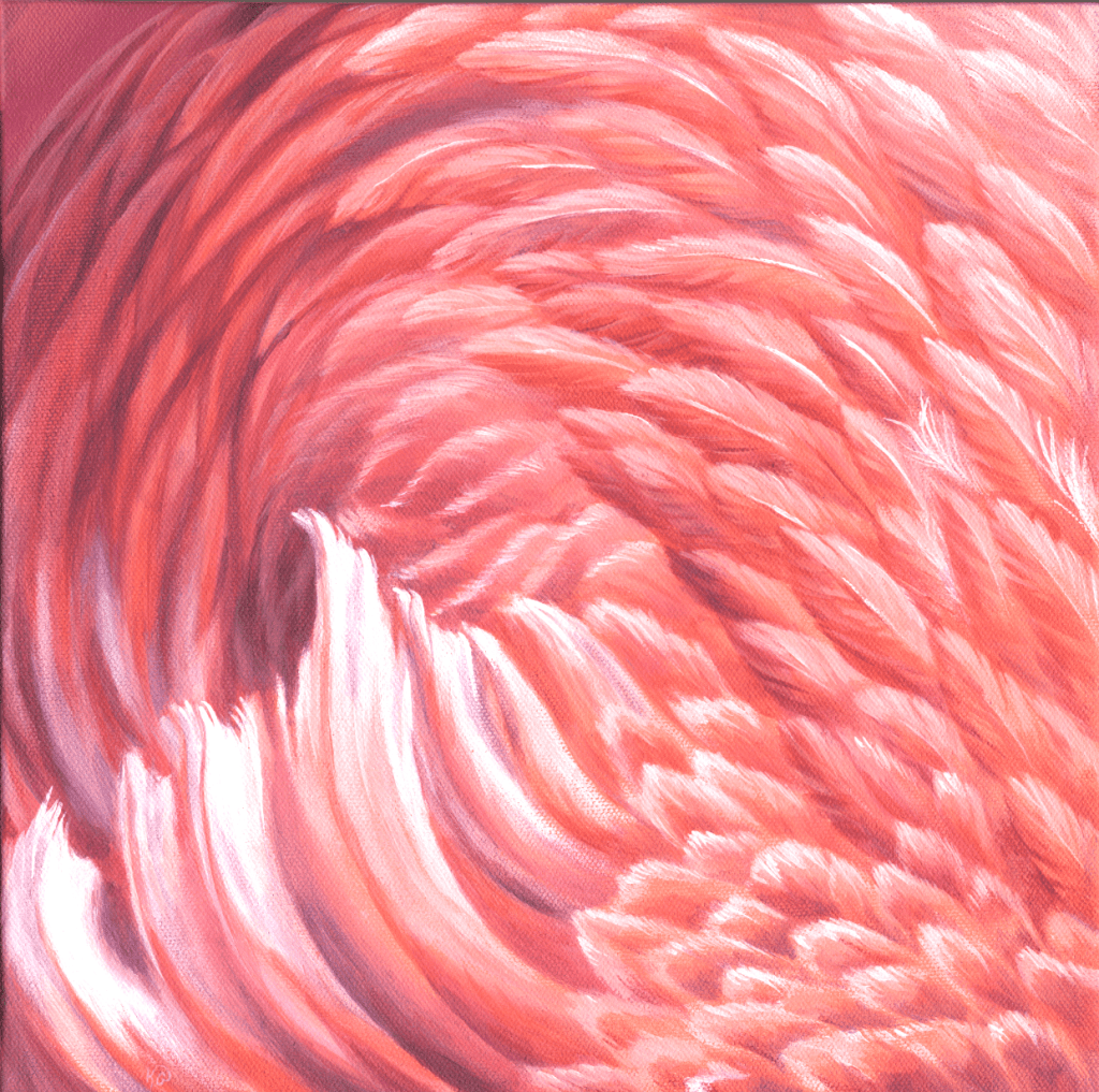 Close-up view of swirling pink feathers, creating a soft, textured pattern with gradients of pink and white.