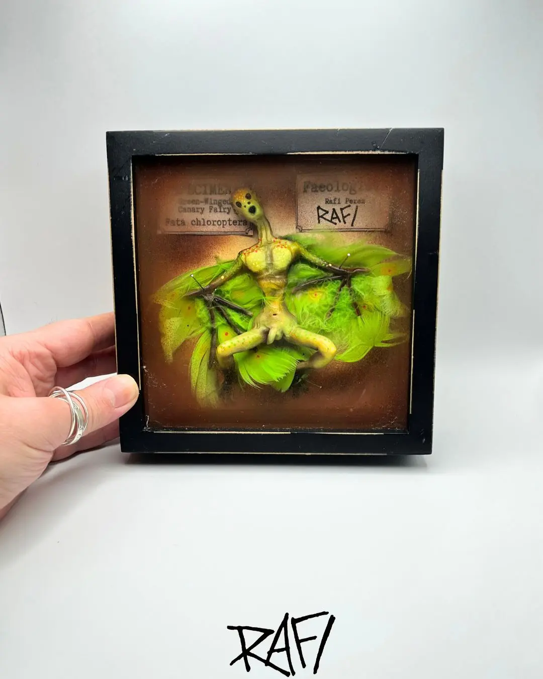 Green-Winged Canary Fairy Original Sculpture By Artist Rafi Perez 6x6x2 - Image 2