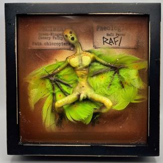 Green-Winged Canary Fairy Original Sculpture By Artist Rafi Perez 6x6x2